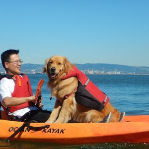 Veranstaltung: San Francisco Bay: 1-Hour Kayak or Stand-up Paddleboard Rental, City Cruises San Francisco in San Francisco