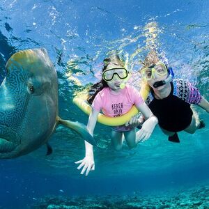 Veranstaltung: ABC Snorkel Charters Port Douglas Snorkelling max 12 passengers, Port Street in Port Douglas