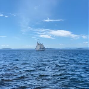 Veranstaltung: 2-Hour Seattle Sailing Harbor Tour, 2203 Alaskan Wy in Seattle