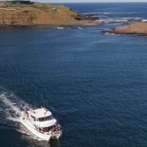 Veranstaltung: Phillip Island Seal Watching Cruise, Wildlife Coast Cruises in Cowes