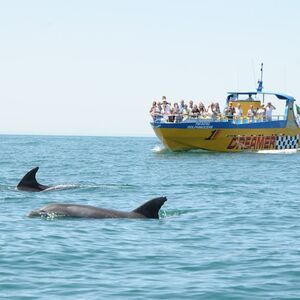 Veranstaltung: Benagil e Observação de Golfinhos: Passeio de Jet Boat a partir de Albufeira, Algarve Dolphin Watching in Albufeira