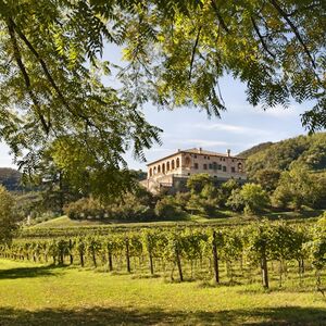 Veranstaltung: Villa dei Vescovi: Biglietto d'ingresso, Villa dei Vescovi in Torreglia