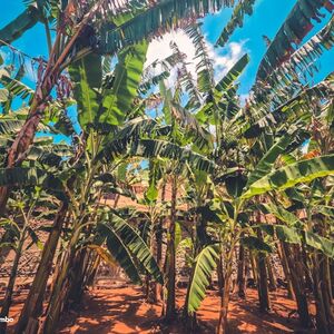 Veranstaltung: Excursión por la Costa Norte - Sal, piscinas de roca, prueba de snorkel y experiencia al atardecer ツ, Day Trips from Las Palmas de Gran Canaria in Las Palmas de Gran Canaria