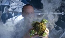 Veranstaltung: Carbon Negative - Premiere, Sophiensaele in Berlin