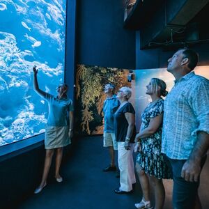 Veranstaltung: Cairns Aquarium: Night Entry + 2-Course Dinner, Cairns Aquarium in Cairns City