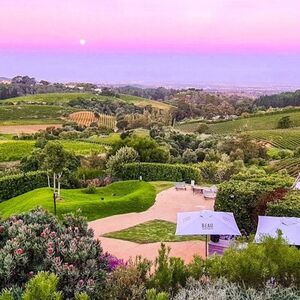 Veranstaltung: Constantia: Full-Day Wine Tour + Roundtrip Transfer, Cape Town in cape town