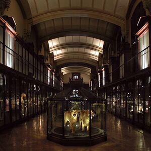Veranstaltung: Grande Galerie de l'Évolution : Billet coupe-file, Grande Galerie de l'Évolution in Paris