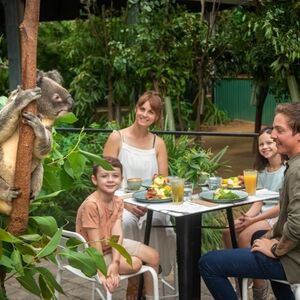 Veranstaltung: Currumbin Wildlife Sanctuary: Entry Ticket, Currumbin Wildlife Sanctuary in Currumbin