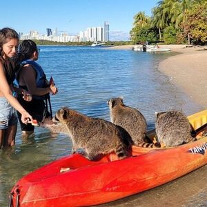 Veranstaltung: Miami: Nature & Island Exploration on SUP / Kayak, Miami Water Activities in Miami