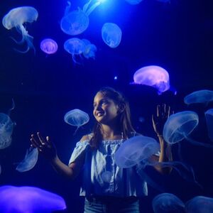 Veranstaltung: Palma Aquarium: Entrada sin colas, Palma Aquarium in Palma