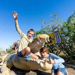 Veranstaltung: Darwin: Jumping Crocodile Cruise on Adelaide River, Darwin Cruises in Darwin