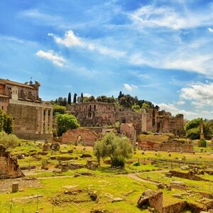 Veranstaltung: Foro Romano e Palatino: Visita guidata, Roman Forum in Rome