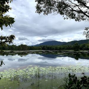 Veranstaltung: Barron Falls, Cattana Wetlands & Skyrail Rainforest Cableway: Tour + Lunch, Skyrail Rainforest Cableway in Cairns