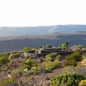 Veranstaltung: Mundo Aborigen: Entrada, Mundo Aborigen in Las Palmas de Gran Canaria