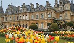 Veranstaltung: Grounds at Waddesdon Manor, Waddesdon Manor in Aylesbury