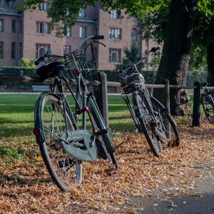 Veranstaltung: Cambridge University Walking Tour, Cambridge City Tours in Cambridge