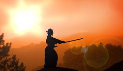 Event: Freiburg im Breisgau: Essence of Samurai Martial Arts & Yoga, in Freiburg