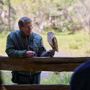 Veranstaltung: Eagles Heritage: Birds of Prey encounter & Forest Walk, Eagles Heritage Raptor Wildlife Centre in Margaret River