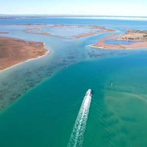 Veranstaltung: Mandurah: Giant & Dolphin Guided Sightseeing Cruise, Mandurah Cruises in Mandurah