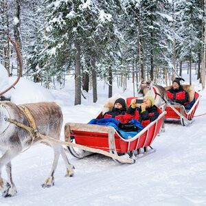 Veranstaltung: Reindeer Farm: Guided Tour + Transfer, Rovaniemi Activities in Rovaniemi