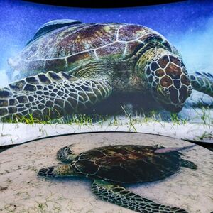 Veranstaltung: Aquarium of the Pacific: Membership Voucher, Aquarium of the Pacific in Los Angeles