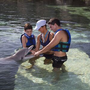 Veranstaltung: Delfinario Xcaret: Nada con delfines, Delphinus Xcaret in Playa del Carmen