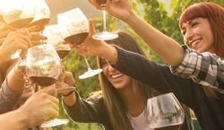 Veranstaltung: Yarra Valley & Dandenong Ranges: Day Tour from Melbourne + Lunch, Yarra Valley Day Trips from Melbourne in Melbourne