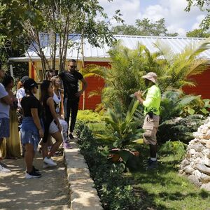 Veranstaltung: Bavaro Park: Buggy VIP Half Day Tour, Bavaro Adventure Park in Punta Cana