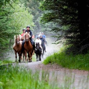 Veranstaltung: Iceland: Horseback Riding - Hot Springs Tour, Ölfus Outdoor Activities in Ölfus