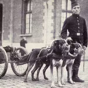 Veranstaltung: Visite guidée : Bruxelles des Animaux, Place Poelaert in Bruxelles