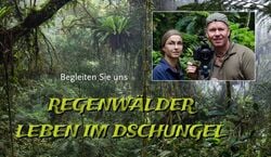 Veranstaltung: Regenwälder Mit Dieter Schonlau, Stadthalle Ahlen in Ahlen