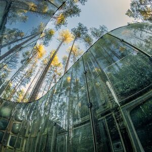 Veranstaltung: Europos Parkas: Open Air Museum of the Center of Europe, Europos Parkas in Vilnius