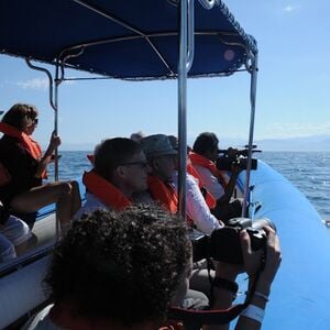 Veranstaltung: Observación de ballenas en Puerto Vallarta y Riviera Nayarit, Day Trips from Puerto Vallarta in Puerto Vallarta