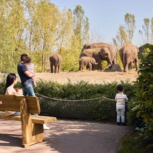 Veranstaltung: Eindhoven Zoo, Dierenrijk Nuenen in Mierlo