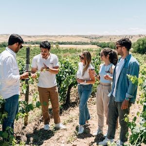 Veranstaltung: Toledo: Visita a la Ciudad y Bodegas desde Madrid + Cata de Vinos, Day Trips from Madrid in Madrid