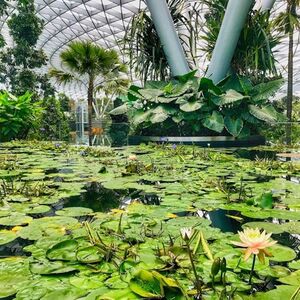 Veranstaltung: Singapore: Changi Jewel Tour, Singapore Vespa Tours in Singapore