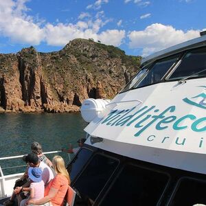 Veranstaltung: Cape Woolamai Cruise from San Remo, Wildlife Coast Cruises in Cowes