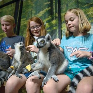 Veranstaltung: San Antonio Family Fun Pass, San Antonio Aquarium in San Antonio