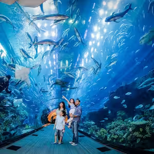 Veranstaltung: Dubai Aquarium & Burj Khalifa: Level 124 / 125 Ticket, Burj Khalifa in Dubai