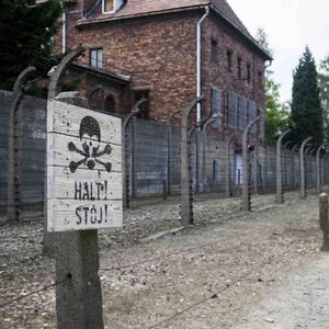 Veranstaltung: Auschwitz: One-way Shuttle To / From Krakow, Auschwitz-Birkenau in Oświęcim