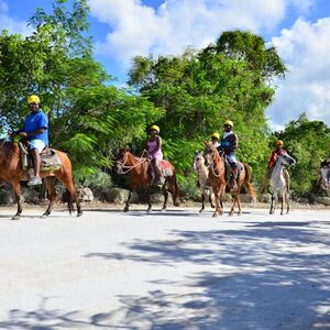 Veranstaltung: Bavaro Park: Buggy + Zipline, Bavaro Adventure Park in Punta Cana