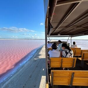 Veranstaltung: Las Coloradas: Excursión Safari de un Día con Comida desde Cancún, Las Coloradas Day Trips from Cancún in Cancún