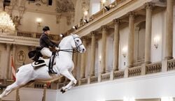 Veranstaltung: Lipizzaner Performance at the Spanish Riding School, Spanish Riding School in Vienna