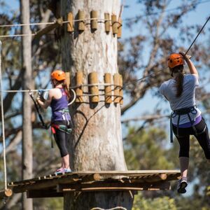 Veranstaltung: Trees Adventure: Yeodene Park, Trees Adventure: Yeodene Park in Yeodene