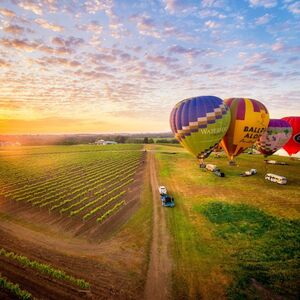 Veranstaltung: Hunter Valley: Hot Air Balloon Flight at Sunrise, Sydney in sydney