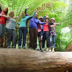 Veranstaltung: Mt. Field, Bonorong Wildlife Sanctuary & Mt. Wellington: Guided Tour, Mt. Field National Park in Hobart
