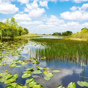 Veranstaltung: Everglades: 1-Hour Private Airboat Tour, Sawgrass Recreation Park in Fort Lauderdale