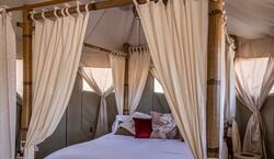 Veranstaltung: El Toril Glamping Experience: tienda safari, una noche y desayuno, El Toril Glamping Experience in Madrid