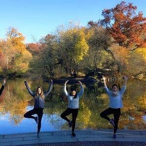 Veranstaltung: Central Park Walking Tour with Yoga, 59th St & 6th Ave - Central Park Sightseeing in New York