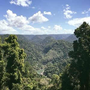 Veranstaltung: Mamu Tropical Skywalk, Mamu Tropical Skywalk in Aeroglen